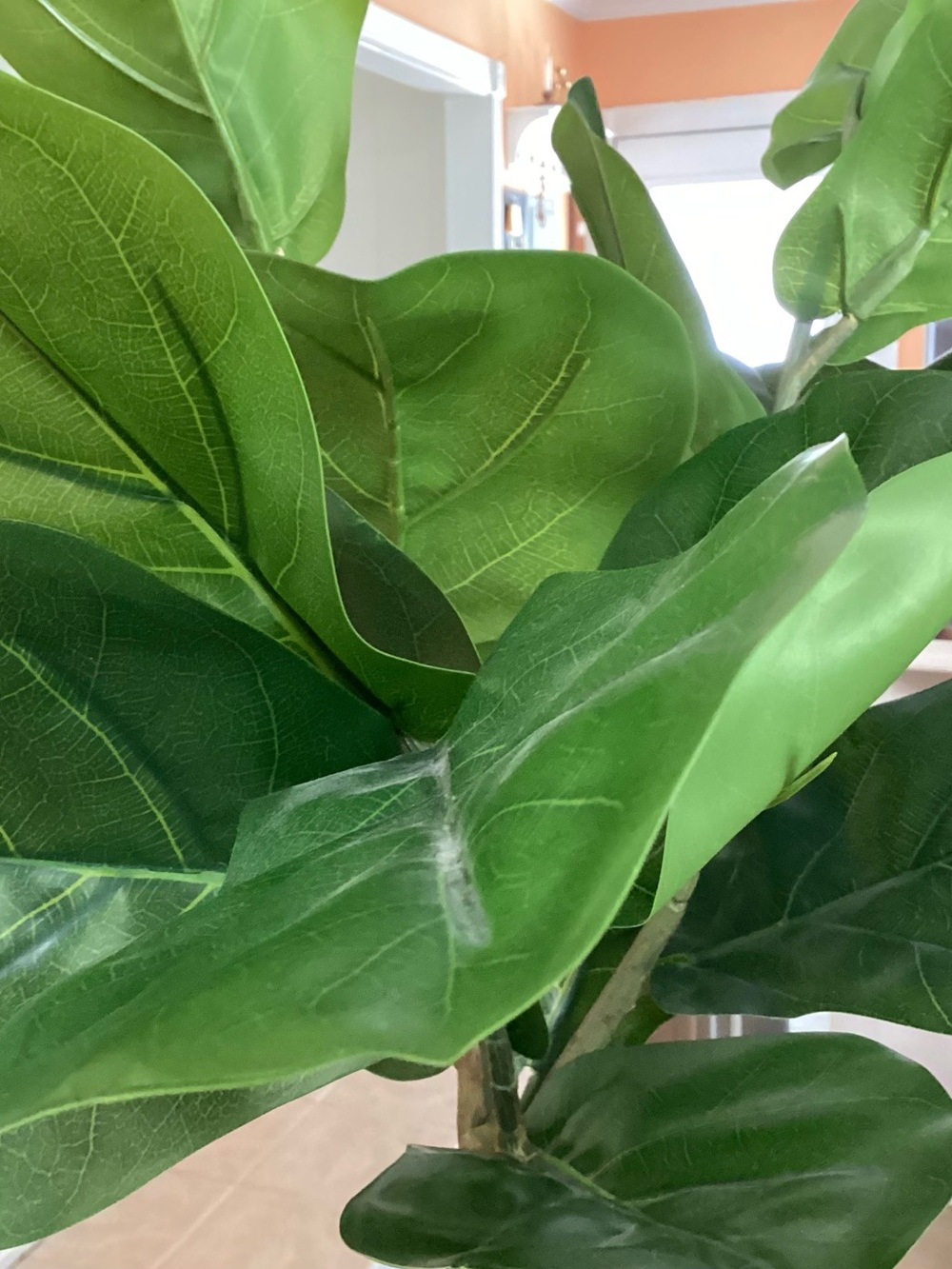 Threshold Faux Fiddle Leaf Tree in Green and White - Picture 4 of 9